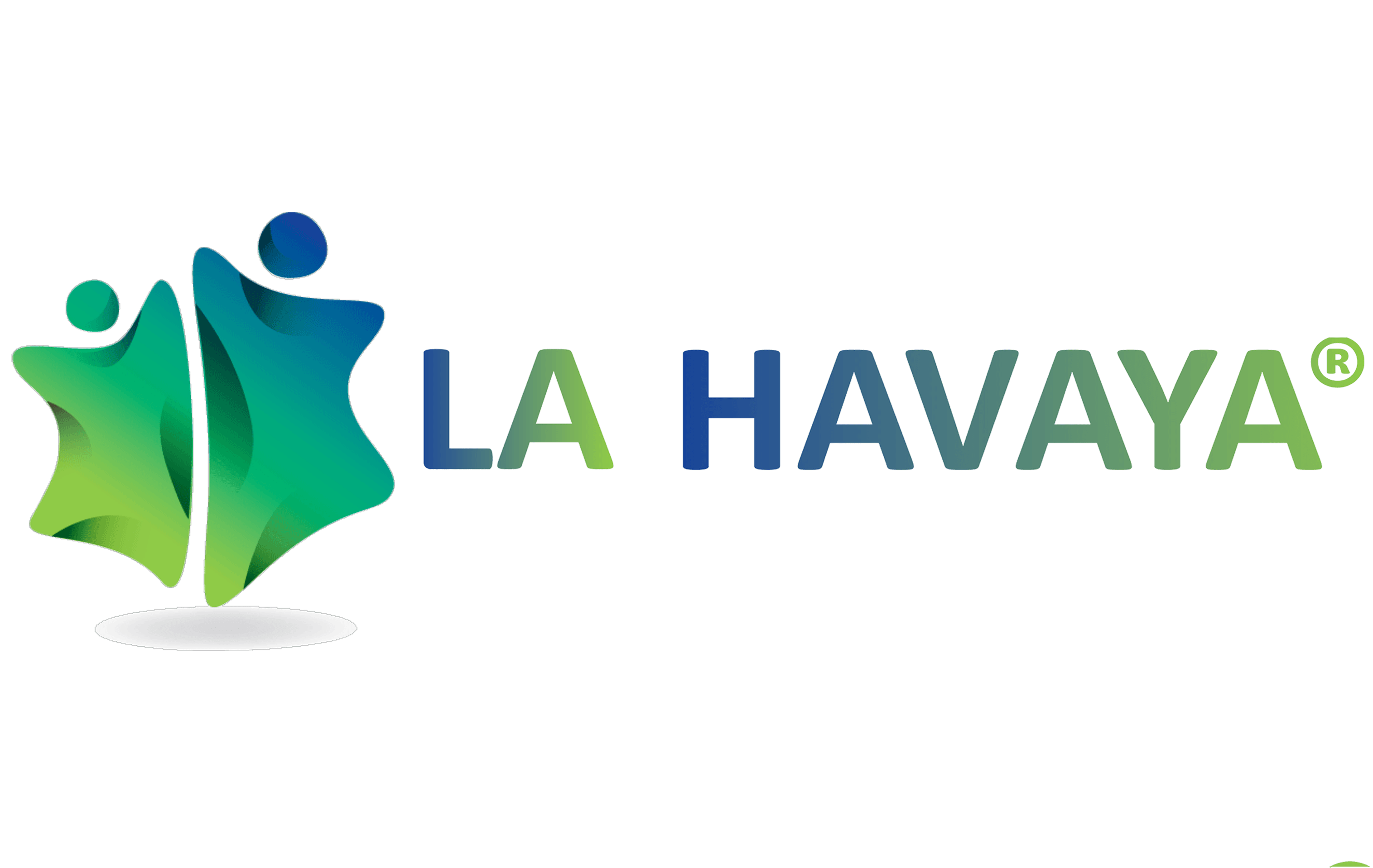 la-havaya-french-jewrney